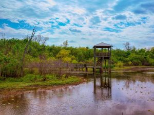 Breinigsville, Pa 18 Cullinan Park 1