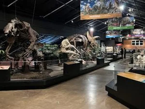 Houston Museum of Natural Science at Sugar Land 1