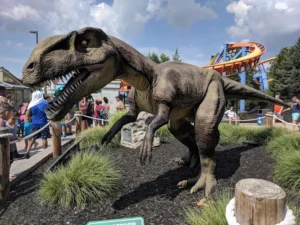 Dorney Park Wildwater Kingdom